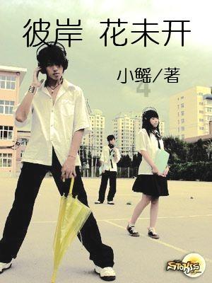 创作猫